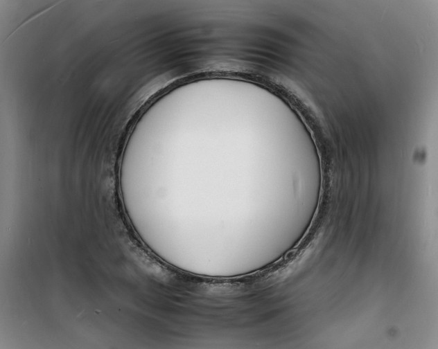 X0000100981025200807151410