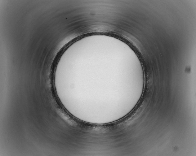 X0000100981026200807151410