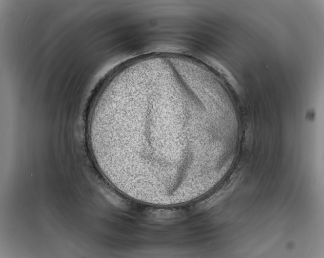 X0000100981027200807151410