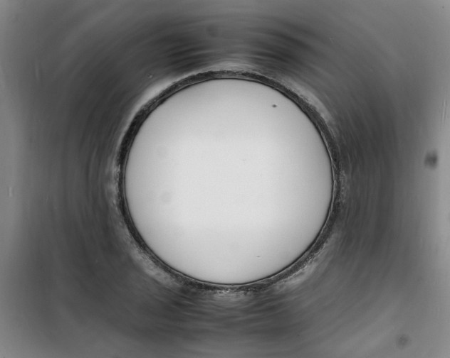 X0000100981029200807151410