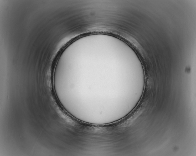 X0000100981030200807151410