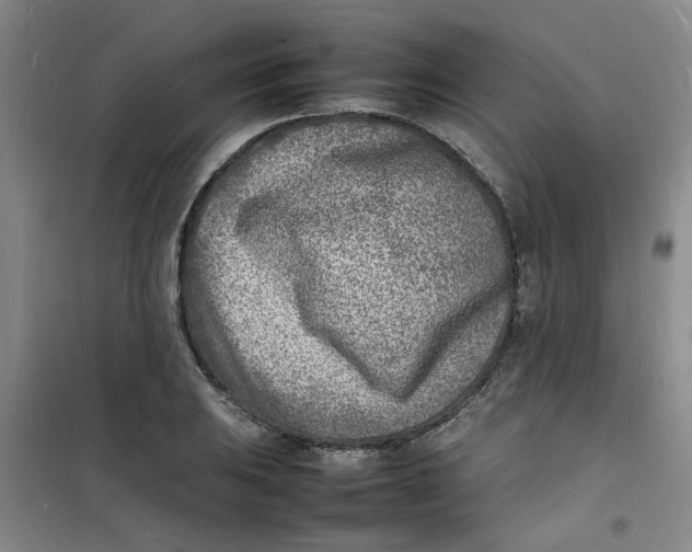 X0000100981031200807151410