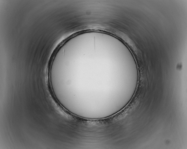 X0000100981032200807151410