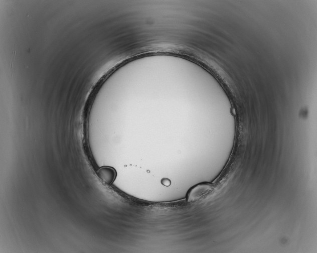 X0000100981034200807151410