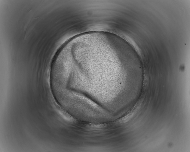 X0000100981035200807151410