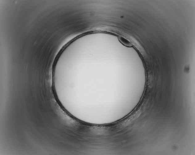 X0000100981036200807151410