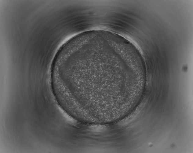 X0000100981037200807151410