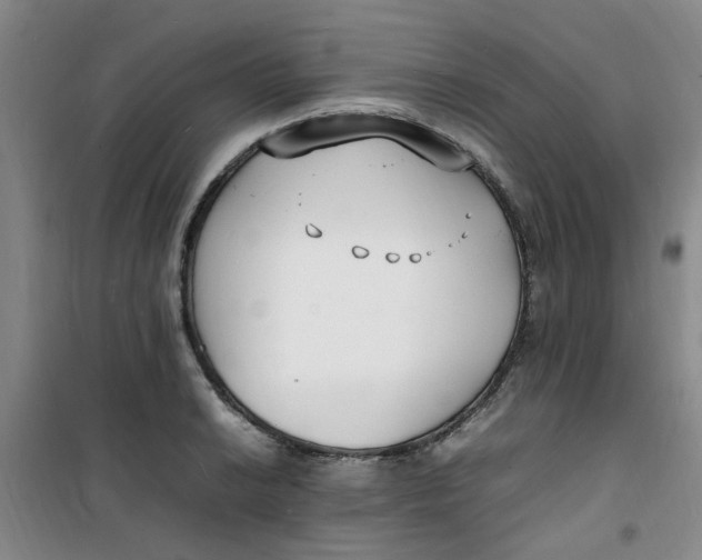 X0000100981038200807151410