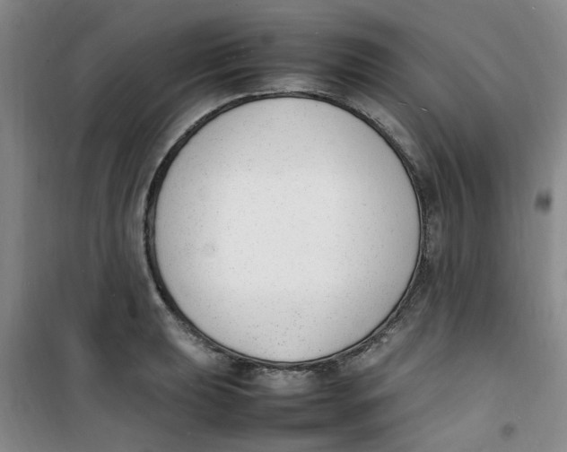 X0000100981039200807151410