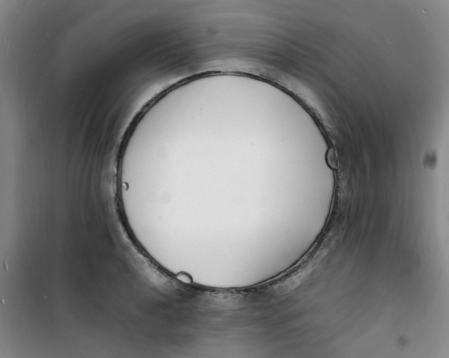 X0000100981040200807151410