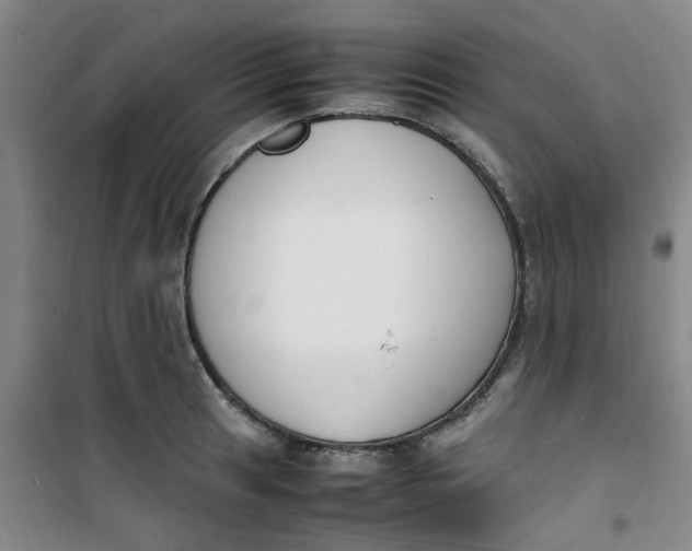 X0000100981041200807151410