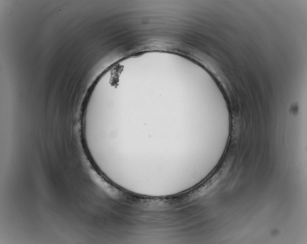 X0000100981042200807151410