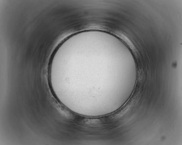 X0000100981043200807151410