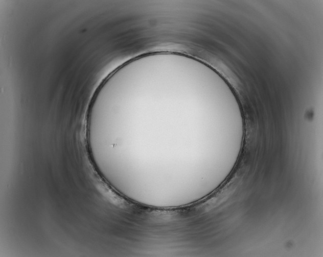 X0000100981044200807151410