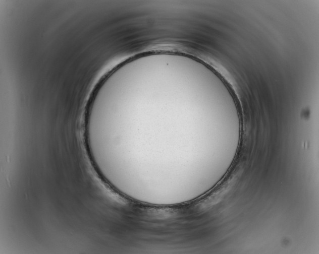 X0000100981045200807151411