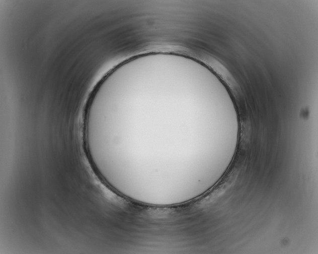 X0000100981046200807151411