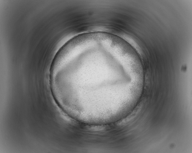 X0000100981047200807151411