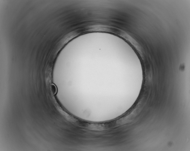 X0000100981049200807151411