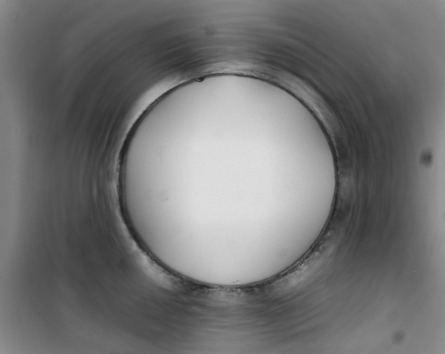 X0000100981050200807151411