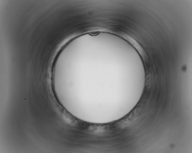 X0000100981051200807151411