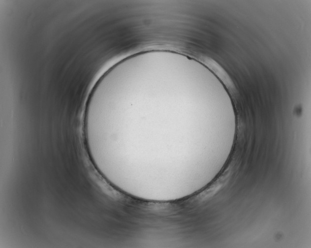 X0000100981052200807151411