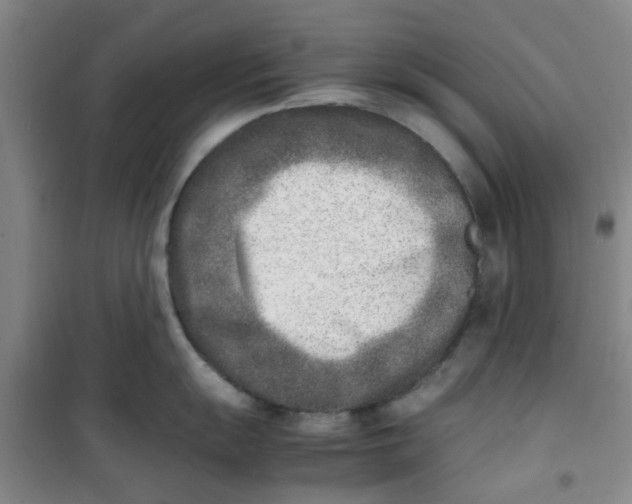 X0000100981055200807151411