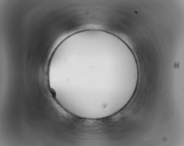 X0000100981056200807151411