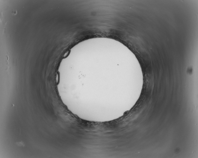 X0000100981057200807151410