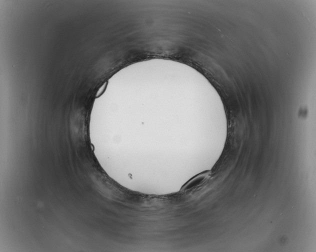 X0000100981058200807151410