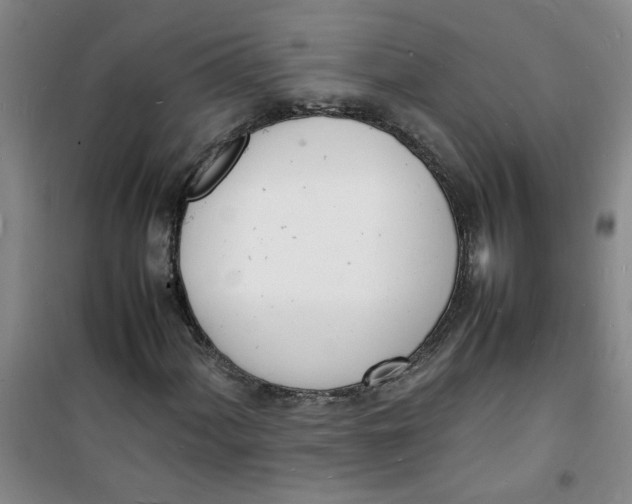 X0000100981060200807151410