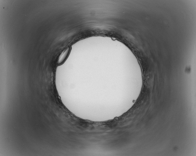 X0000100981061200807151410