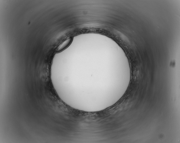 X0000100981062200807151410