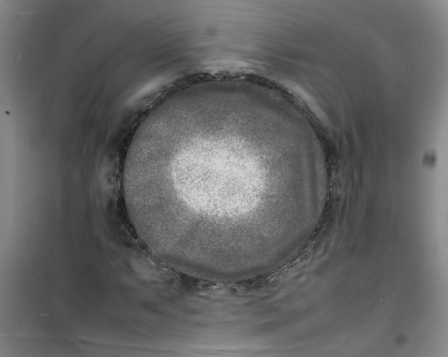 X0000100981063200807151410