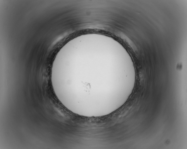 X0000100981064200807151410