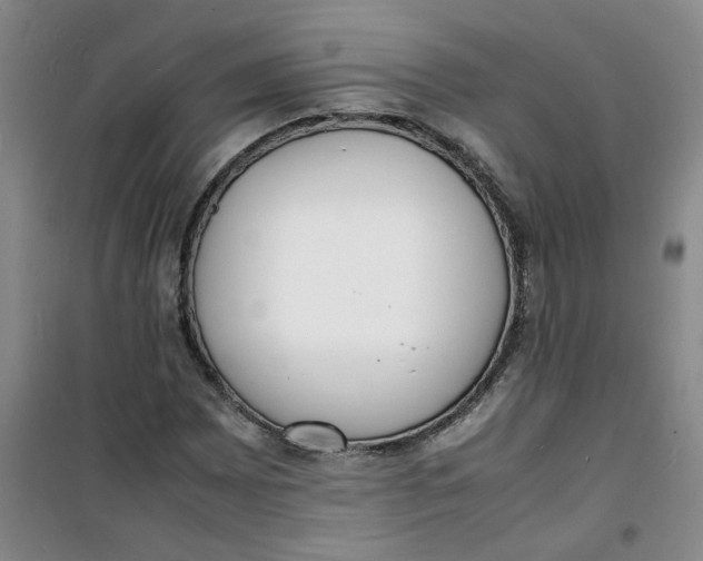 X0000100981065200807151410