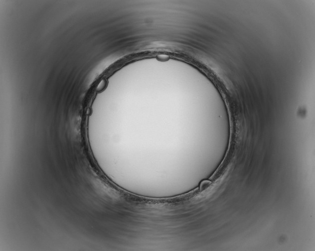 X0000100981066200807151410