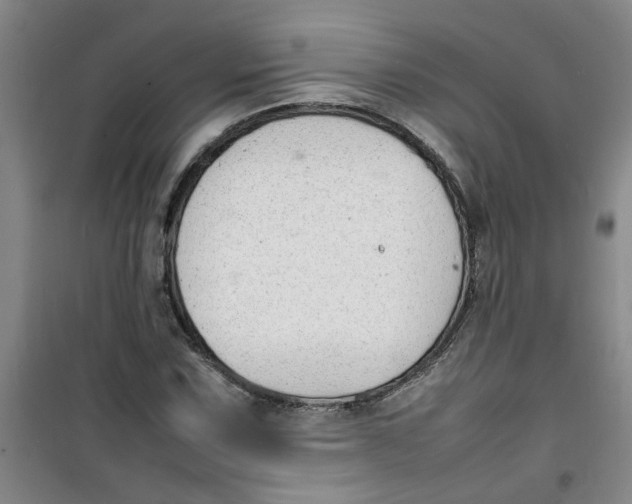 X0000100981067200807151410