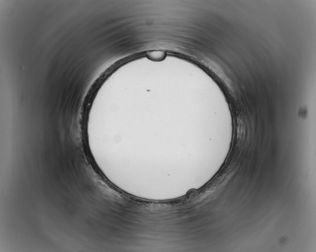 X0000100981068200807151410