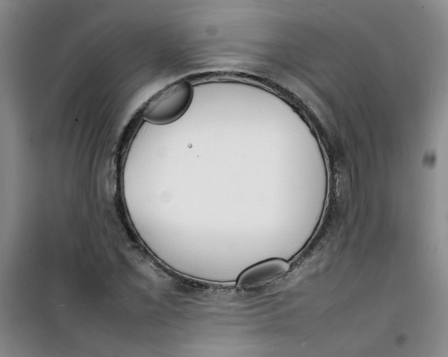 X0000100981069200807151410