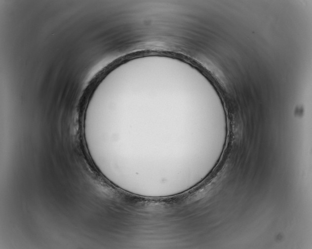 X0000100981070200807151410