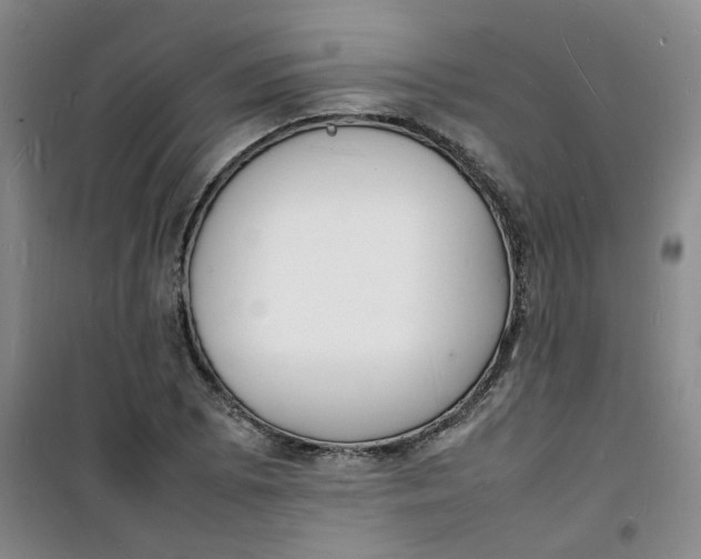 X0000100981073200807151410