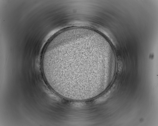 X0000100981074200807151410