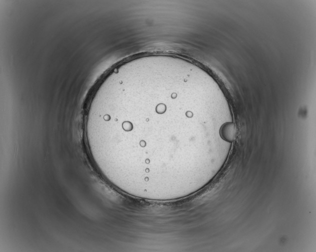 X0000100981075200807151410