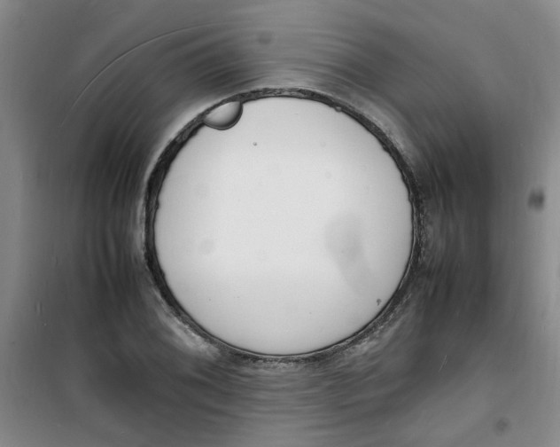 X0000100981076200807151410