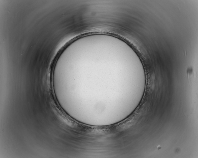 X0000100981078200807151410