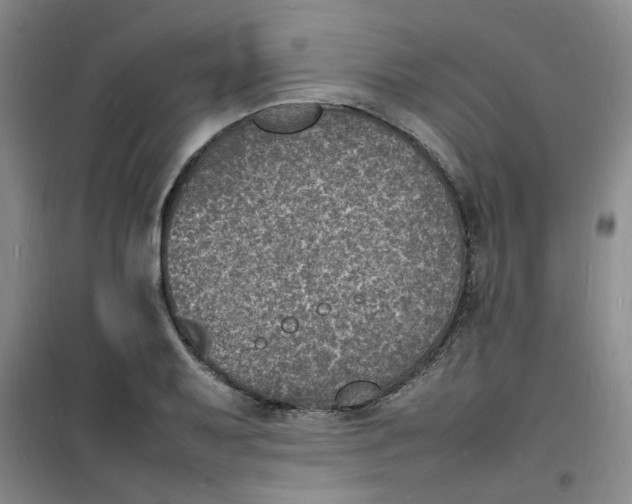 X0000100981079200807151410