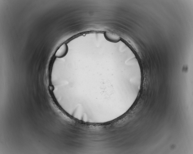 X0000100981080200807151410