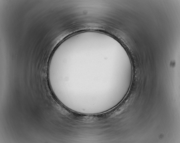 X0000100981081200807151410