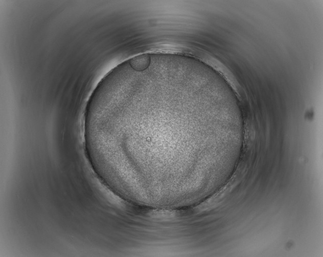 X0000100981083200807151410