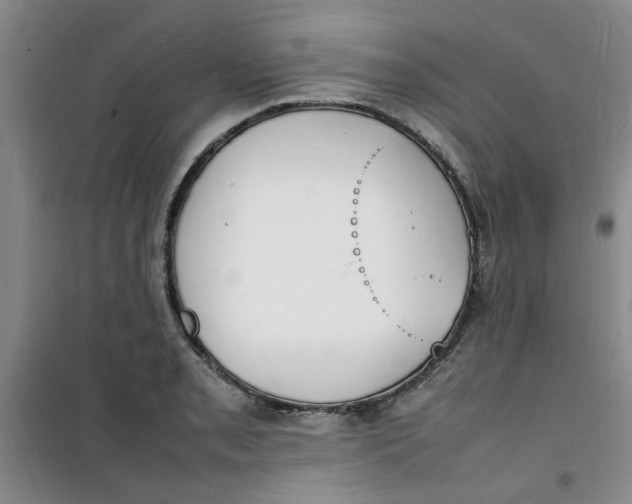 X0000100981085200807151410